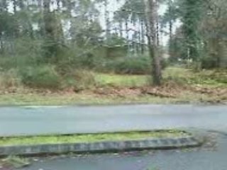 moliets apres tempete