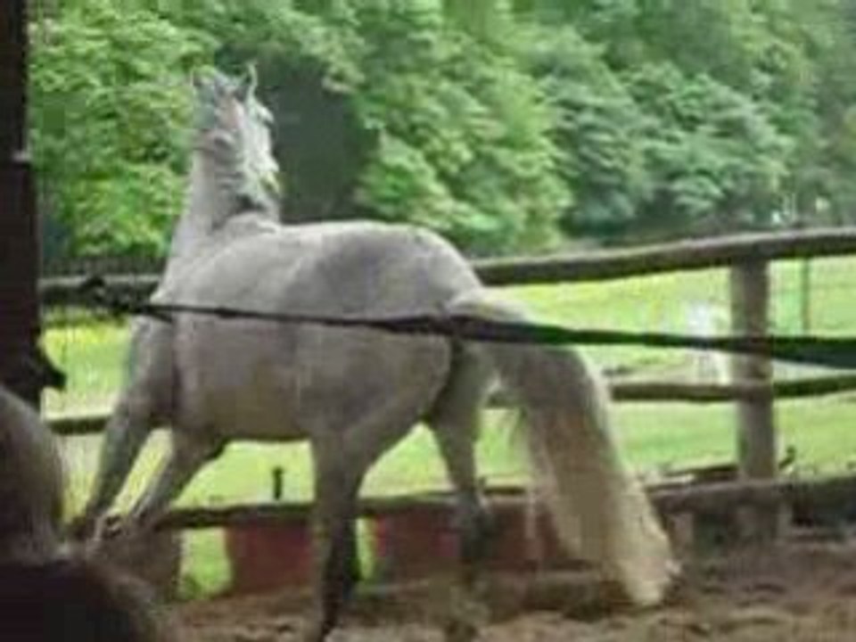 karma qui se défoule