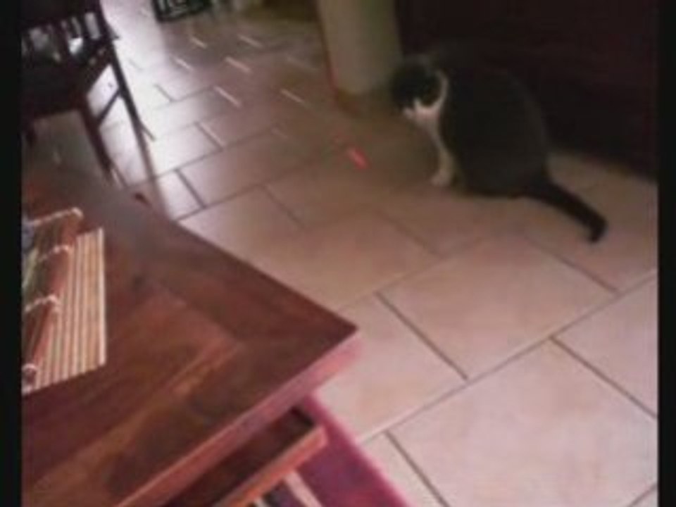 Oscar contre le laser