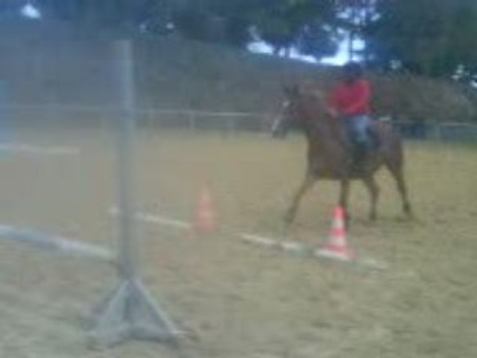 Saut