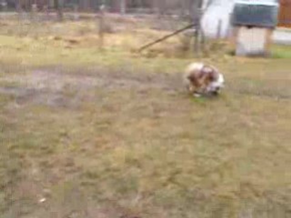 Bag slalom5