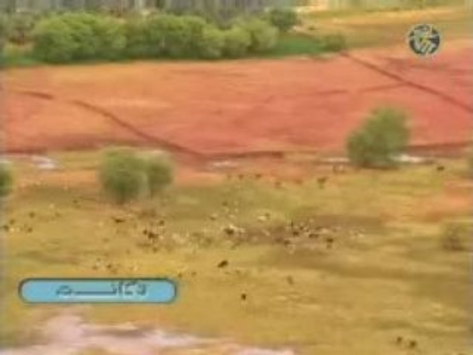 paysage mauritanie.
