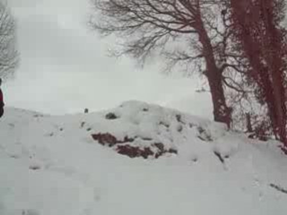 Bosse en luge