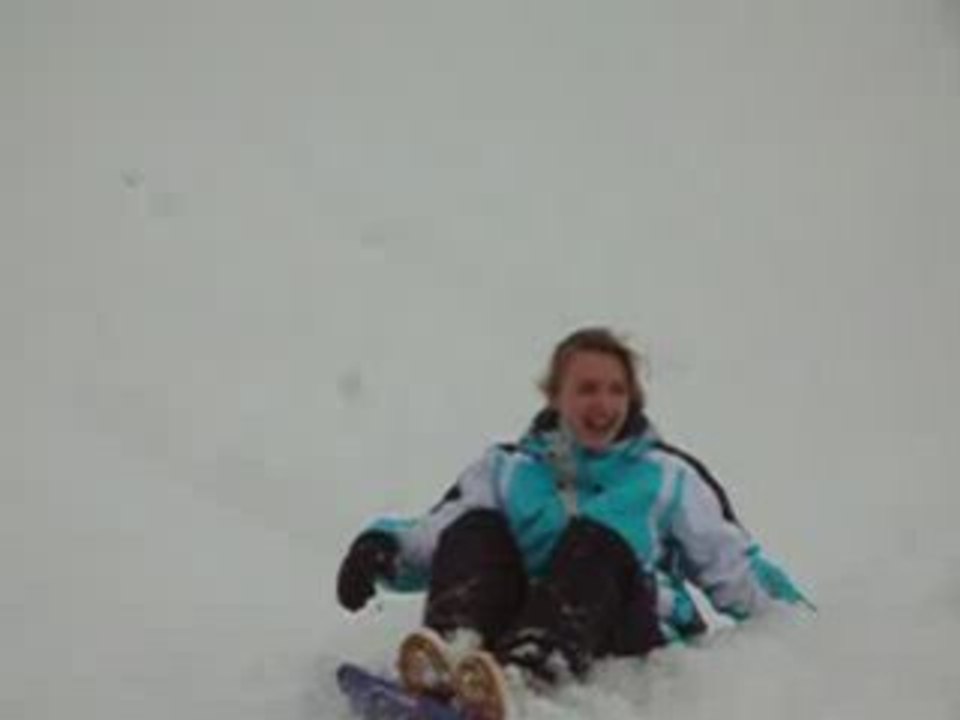 Chupa le bull terrier fait de la luge!!!