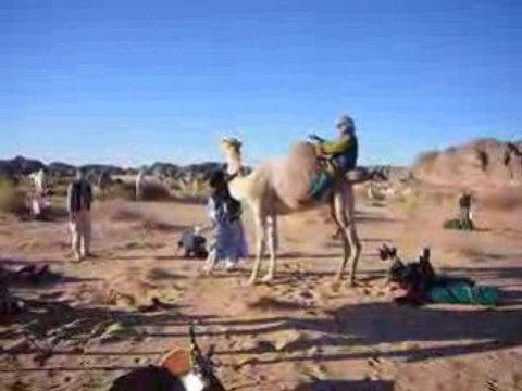 Méharée de Tamanrasset à Djanet