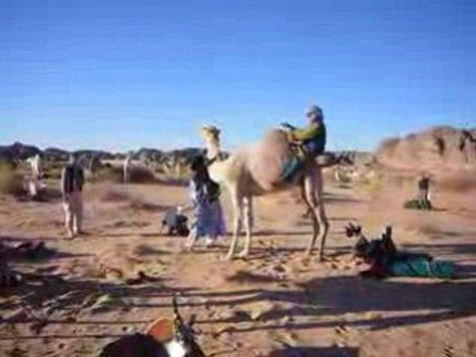 Méharée de Tamanrasset à Djanet