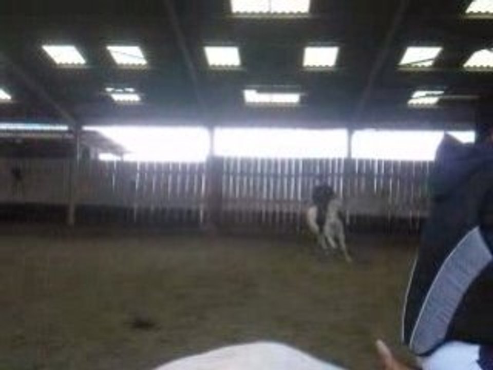 moi et licorne