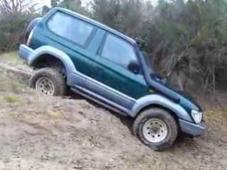 Yanick Toyota P1020309