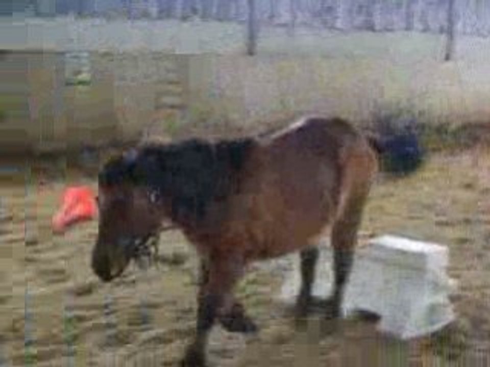 Saut de plot