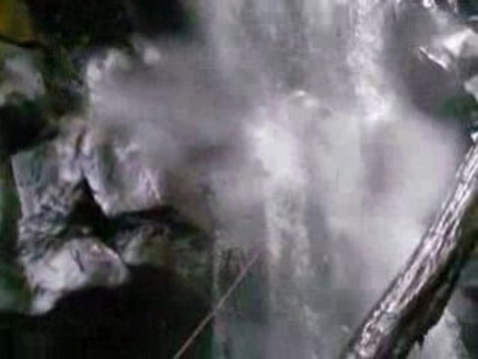 Sous l'eau Bois Malaisé Guadeloupe