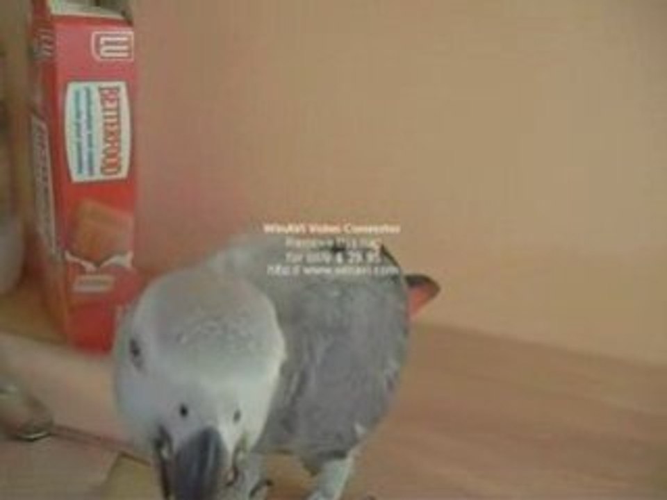Cookie partage ma pitance