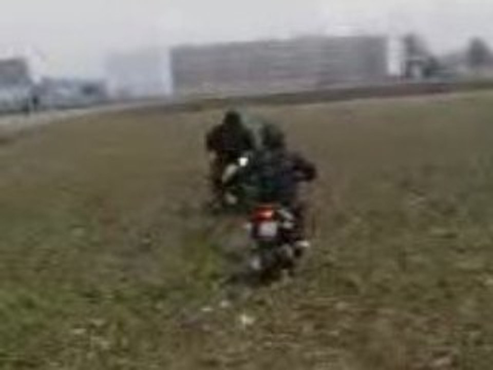 roz fa scoot dans les champs