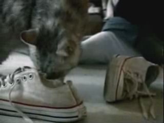 chat intelligent-pub