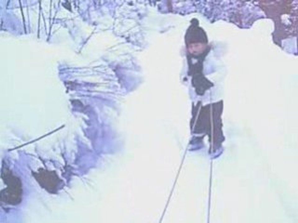 NVEExport 3.2.09 Video Schlittenfahrt