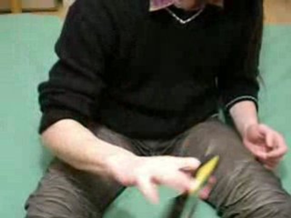 Combo de Phlogistique - Tournoi débutant roud 2, vs. APA