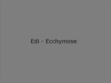 Edi - Ecchymose