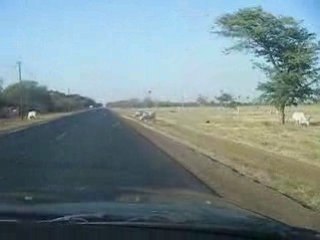 en partant de joal-fadiouth .senegal