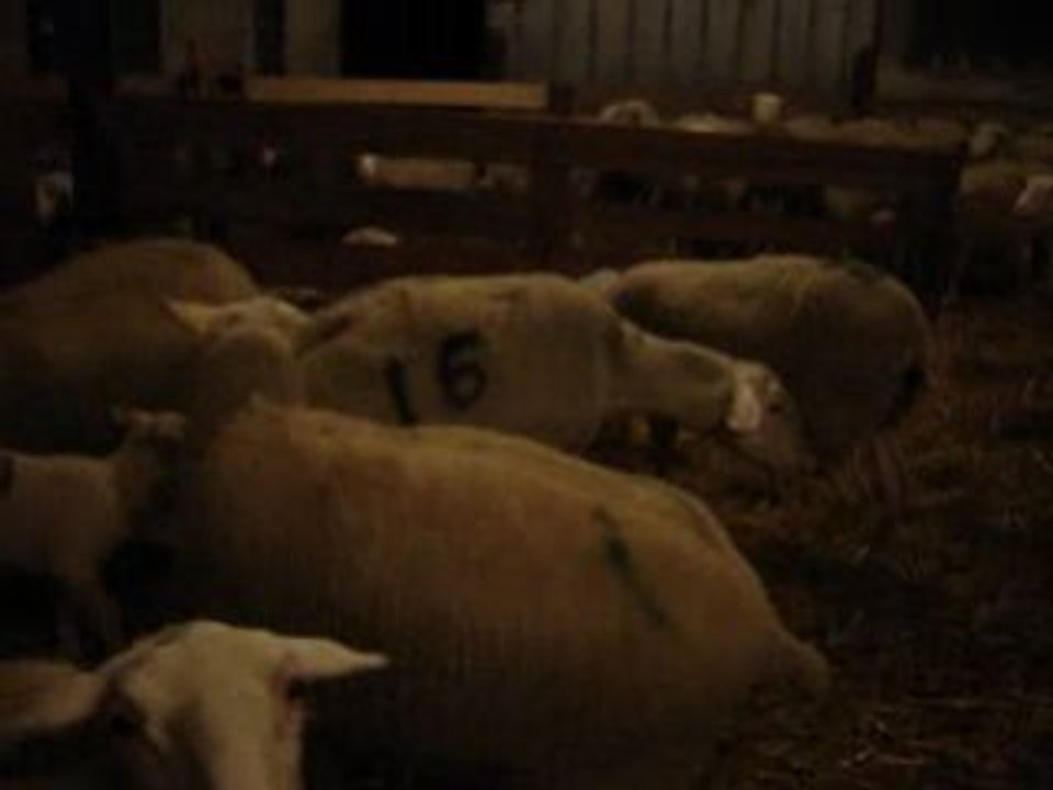On a faim ...