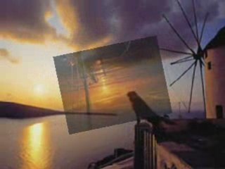 Bandari, I just call say i love you