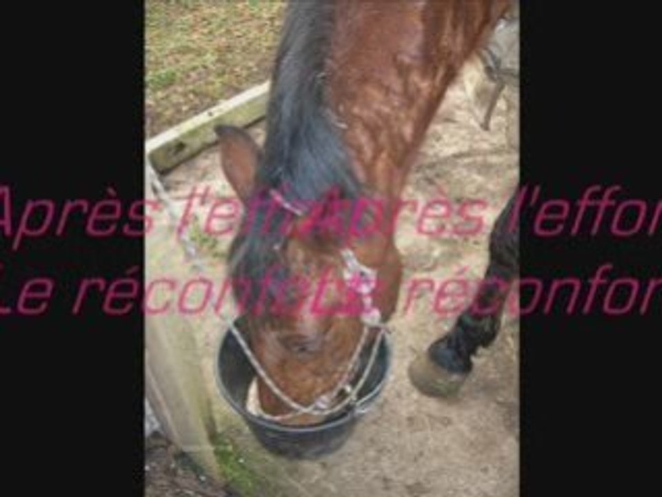 Samedi 31 Janvier   Cours de Saut :)