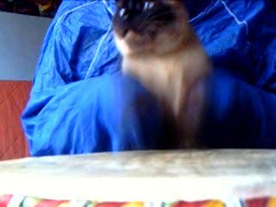 Némo, dieu du djembe !