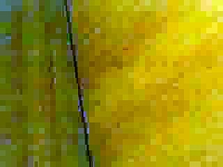 NOUVEL ORDRE MONDIAL ET STRATEGIE DE REGIONALISATION