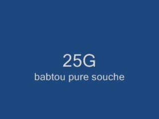 25G .. BABTOU PURE SOUCHE NEW 2009
