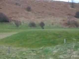 Alnmouth Holiday Cottage – Beach