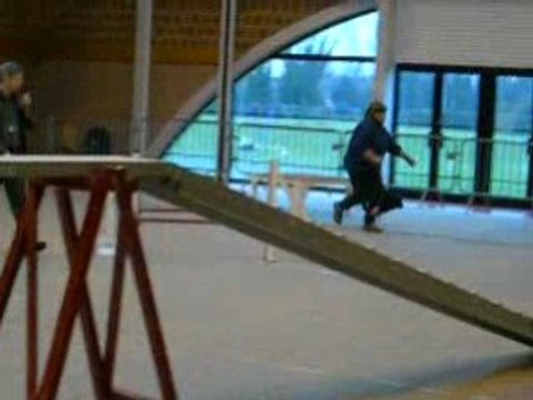 Agility Isbergues tiféne 2 em degré