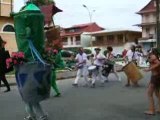 Carnaval Cayenne 5eme parade part 3