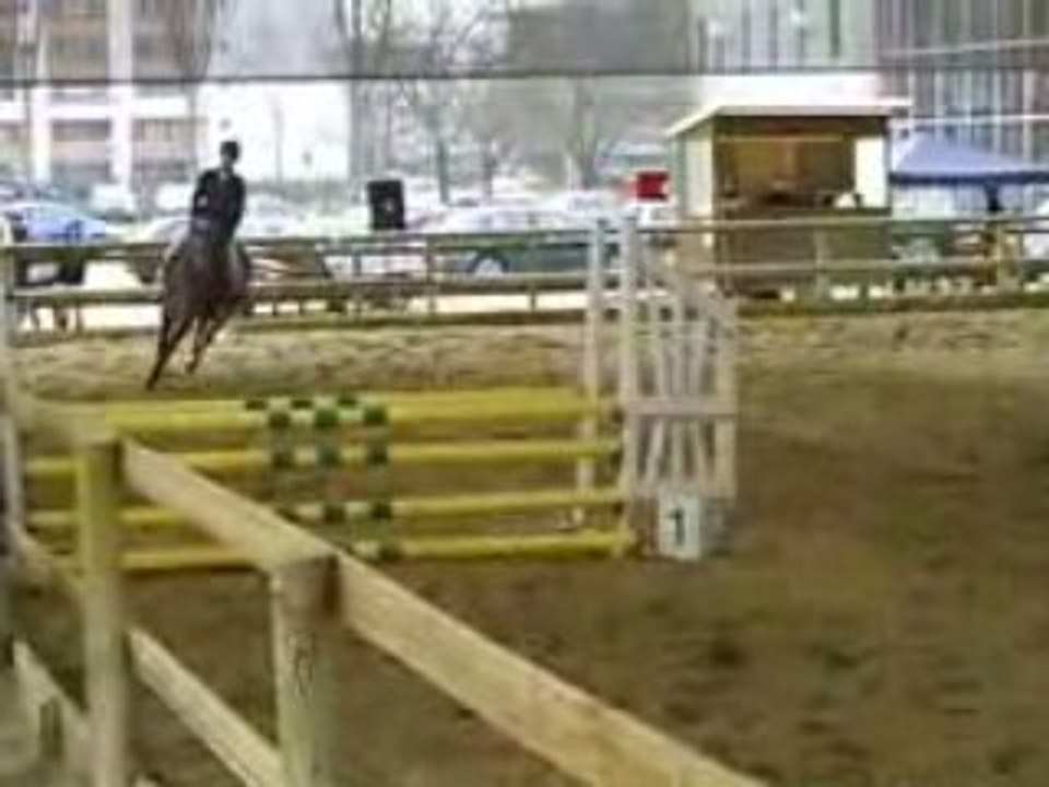 CLIP0008