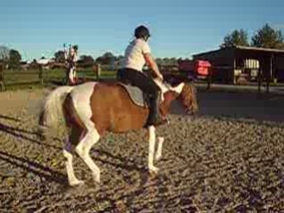 Jument pie bai tobiano