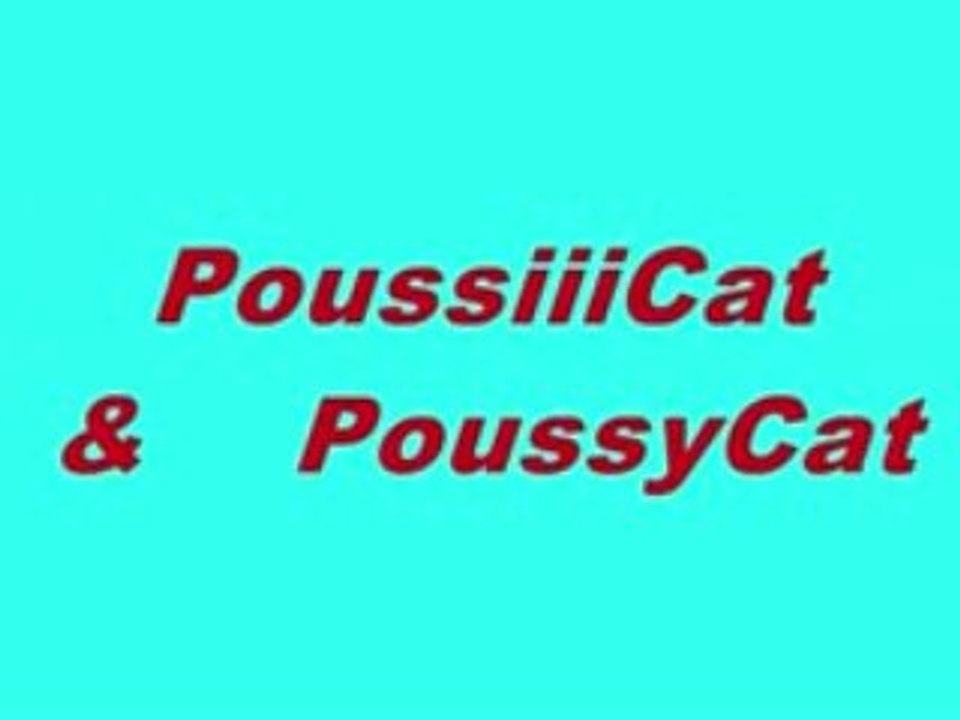 Poussycat  x3