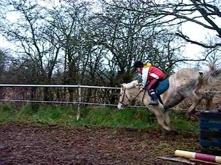 Oxer galop