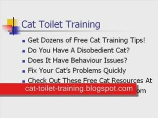 Cat Toilet Training