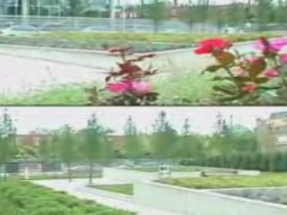 ForRent.com 1401 South State Apartments in Chicago, IL