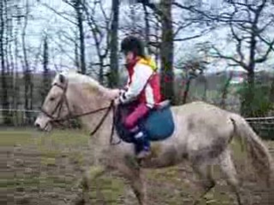 Saxo trot