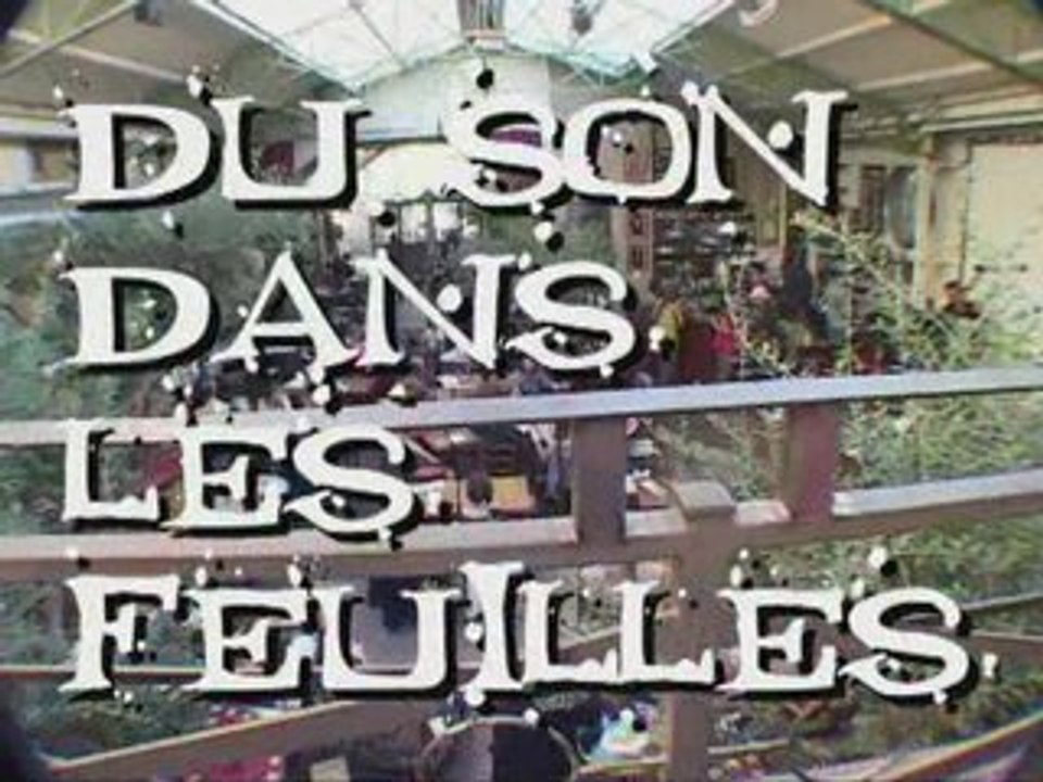 Partie 2 - Festival Du Son dans les feuilles - Edition 1