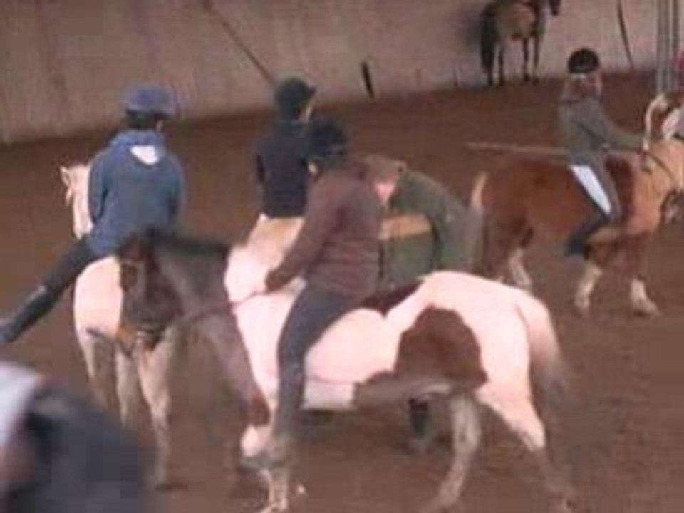 cours avec les shetland