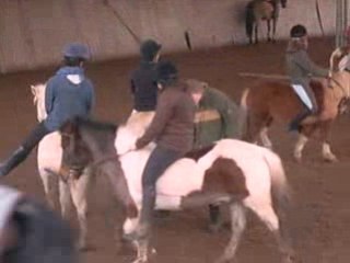 cours avec les shetland