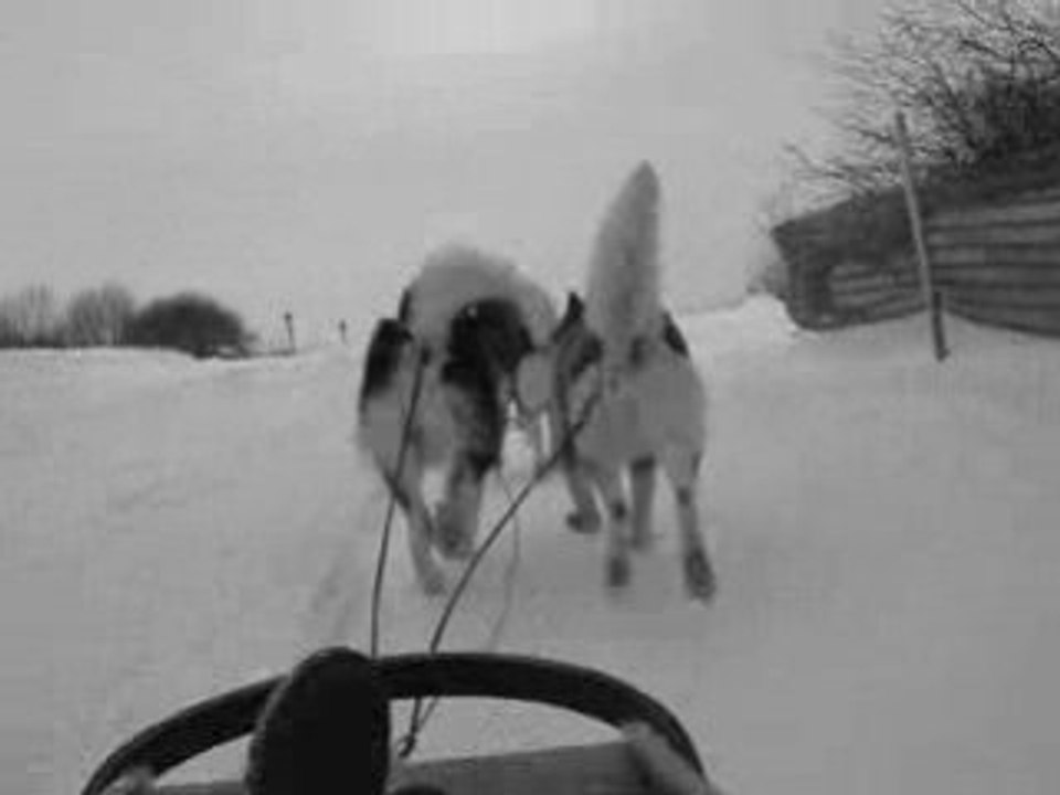 Québec carnaval