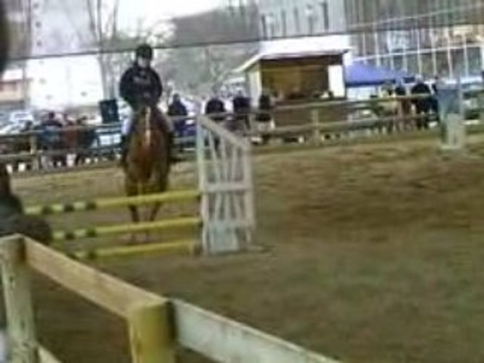 CLIP0011