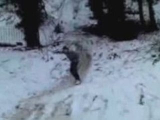 Snate Boarding Fail (snow boarding / skate boarding)