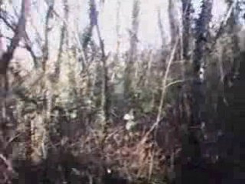 Rando Vidéo embarquée Dom Janvier 2009