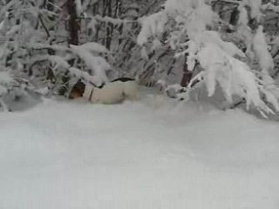 Doliprane dans la neige