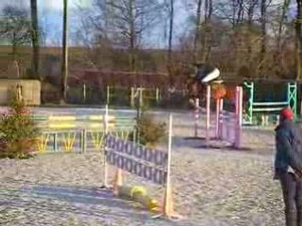DSCF9801