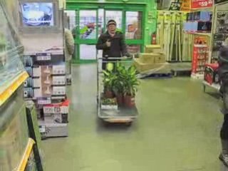 Natural Fuse, finding the plants