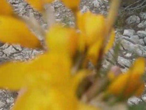 Kuşça köyü slayt