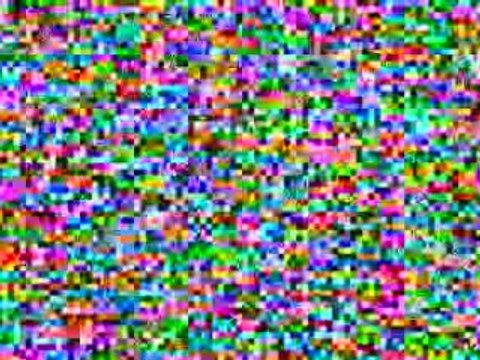 11 Animals Nature Galapagos Islands