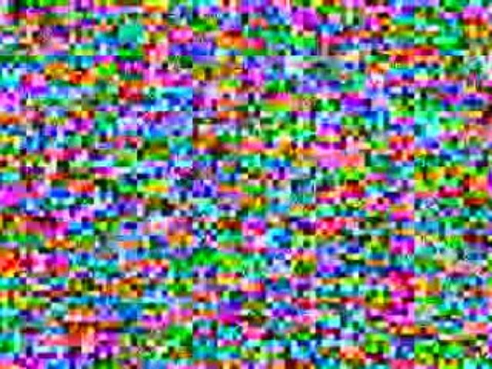 11 Animals Nature Galapagos Islands